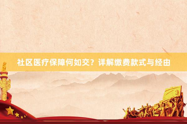 社区医疗保障何如交？详解缴费款式与经由