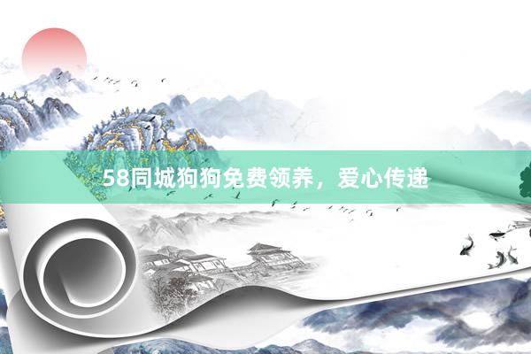 58同城狗狗免费领养，爱心传递