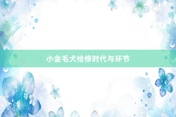 小金毛犬检修时代与环节