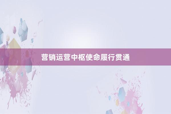 营销运营中枢使命履行贯通